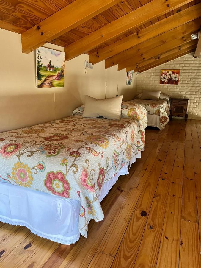El Colibri Cabanas De La Naturaleza Trelew Ngoại thất bức ảnh