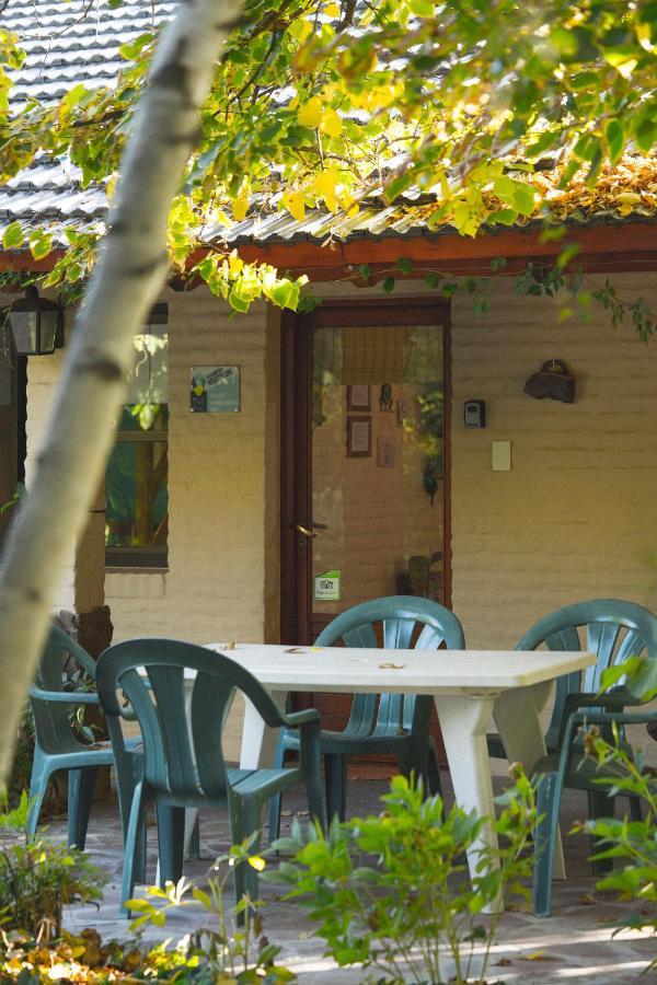 El Colibri Cabanas De La Naturaleza Trelew Ngoại thất bức ảnh