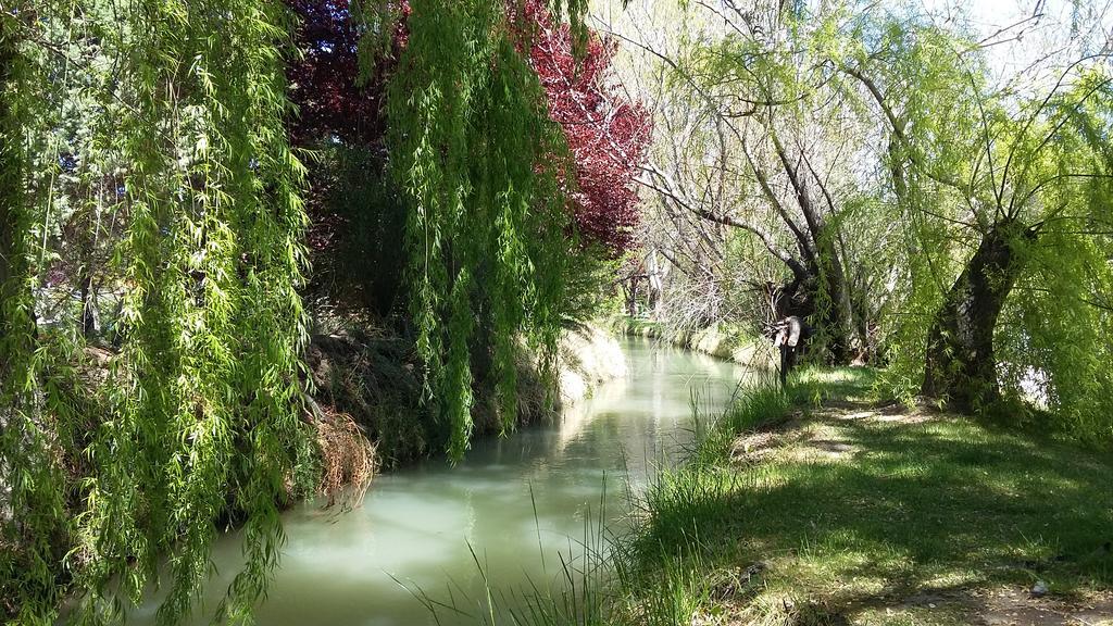 El Colibri Cabanas De La Naturaleza Trelew Ngoại thất bức ảnh